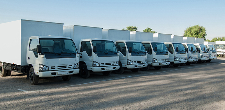Fleet Insurance
